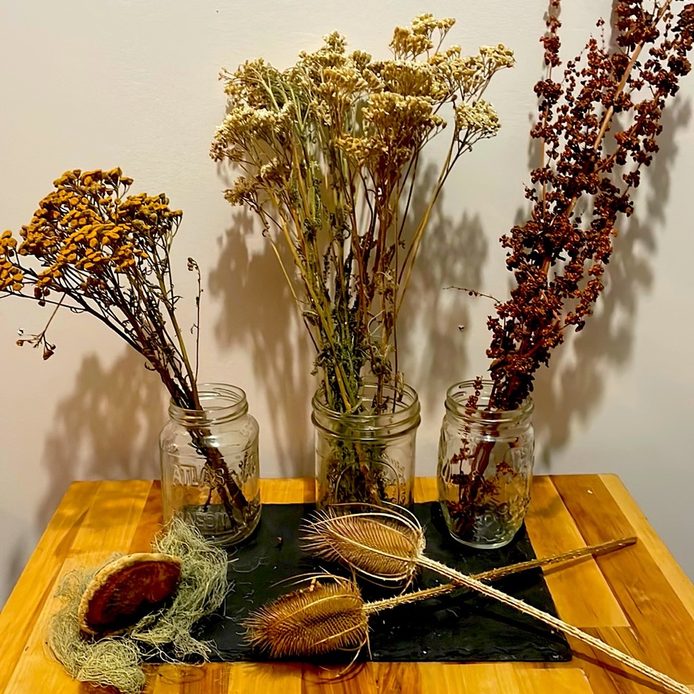 Preserved flowers, mushroom, and moss.